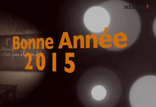 Rétrospective 2014 & bonne année 2015 – Ville de Vaulx-en-Velin