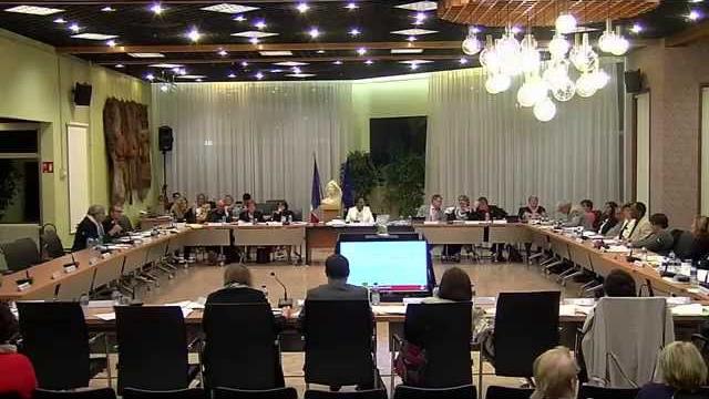 Conseil Municipal de Vaulx-en-Velin 28 septembre 2015