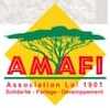 Association Amitié Afrique France Internationale (AMAFI)