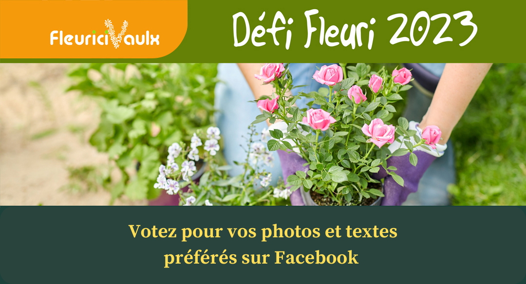 Défi fleurissement 2023 : votez pour vos photos et textes préférés sur Facebook