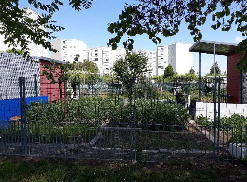 jardins-communaux-familiaux-parcelles-cabanes-ecoin-2023