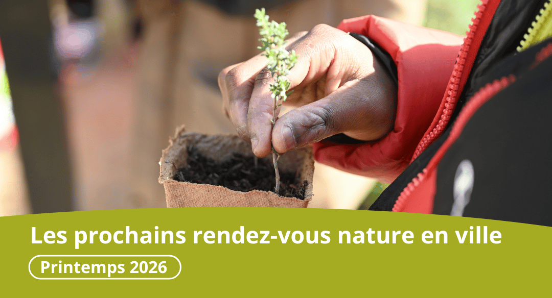Les rendez-vous nature en ville – Printemps 2026