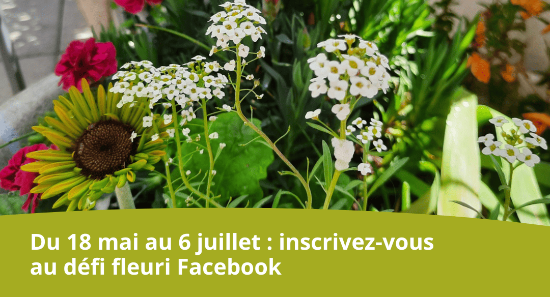 Défi fleuri 2026