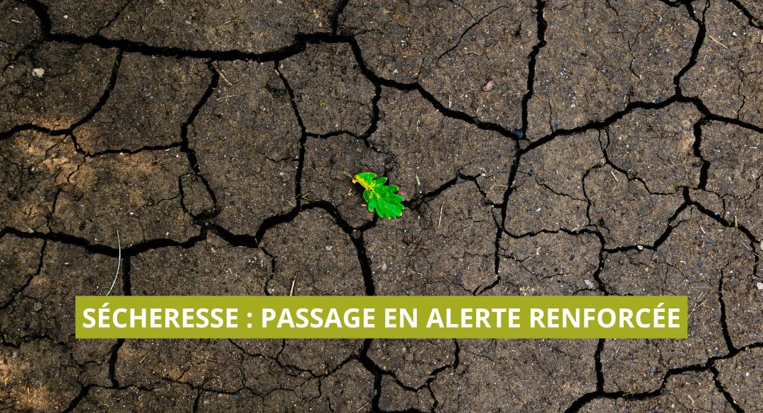 Sécheresse : passage en niveau « alerte renforcée »