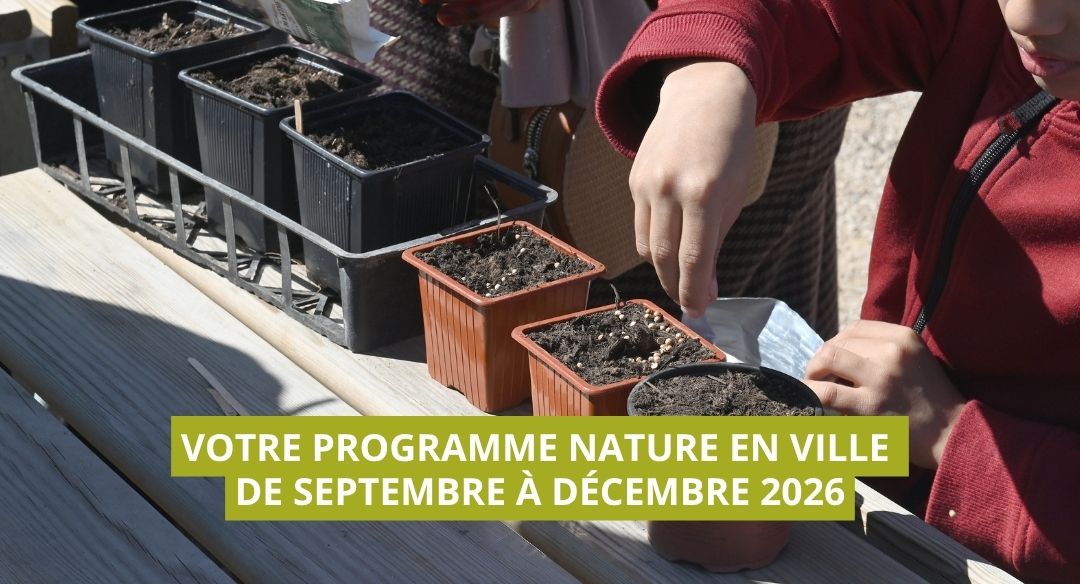 Les animations nature en ville de septembre à décembre 2026