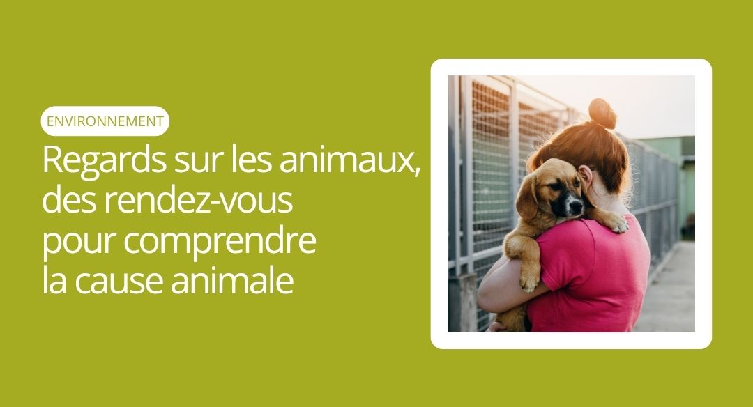 Regards sur les animaux : des rendez-vous pour comprendre la cause animale