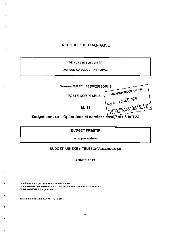 16.12.0649 - Annexe budget de la télésurveillance - Budget primitif 2017